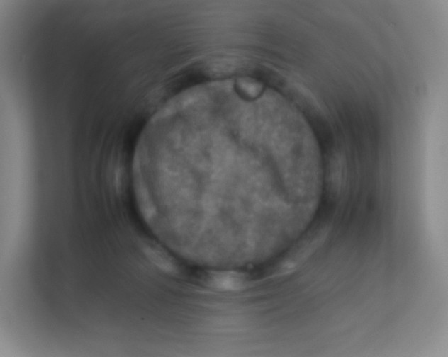 X0000111470226200908101121