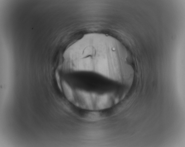 X0000111470227200908101121