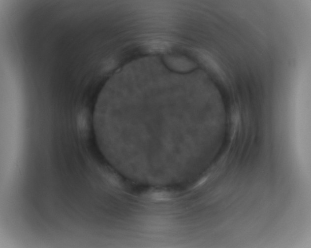 X0000111470228200908101121