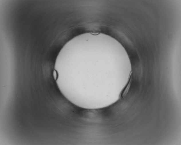 X0000111470229200908101121