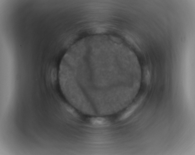 X0000111470230200908101121