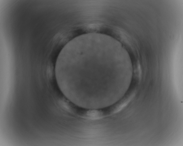 X0000111470231200908101121