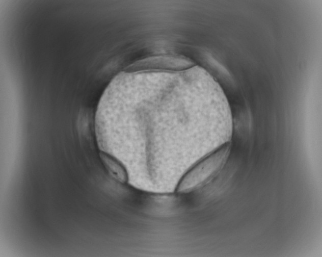 X0000111470233200908101121