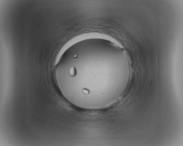 X0000111470235200908101121