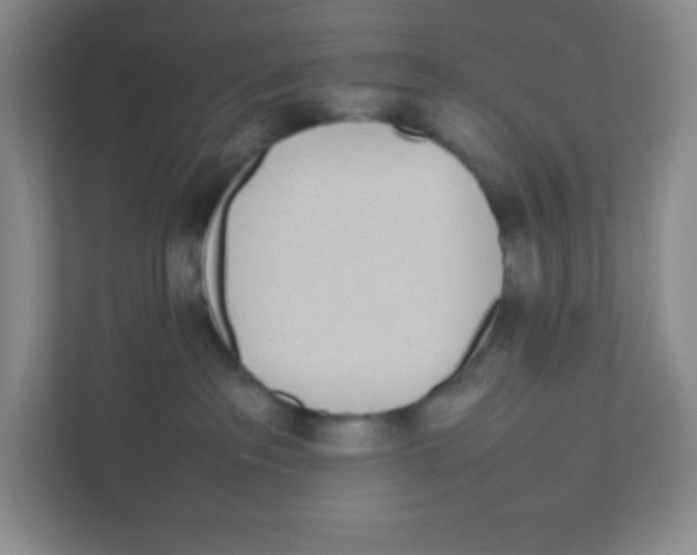 X0000111470237200908101121