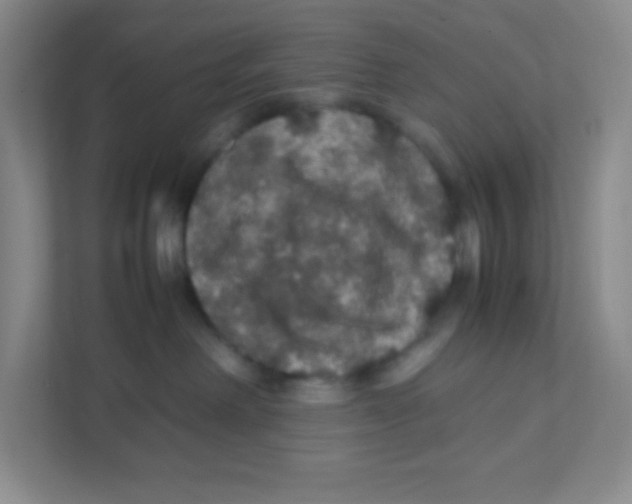 X0000111470238200908101121