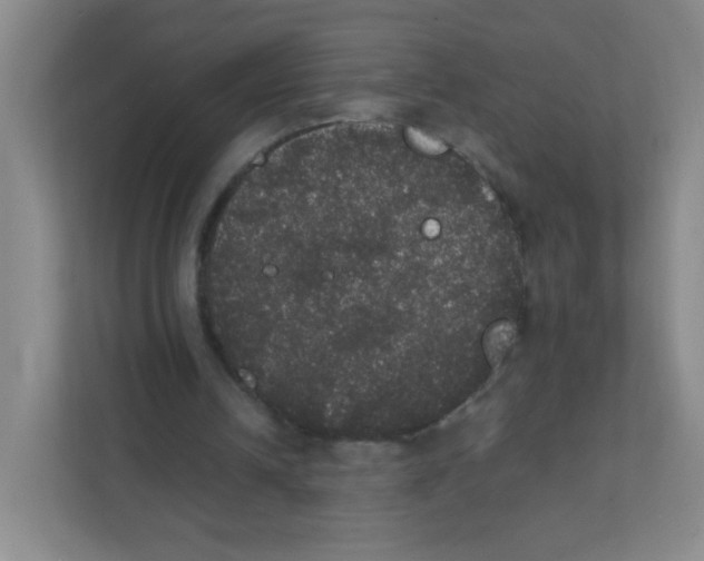 X0000111470242200908101120