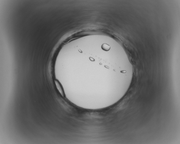 X0000111470244200908101120