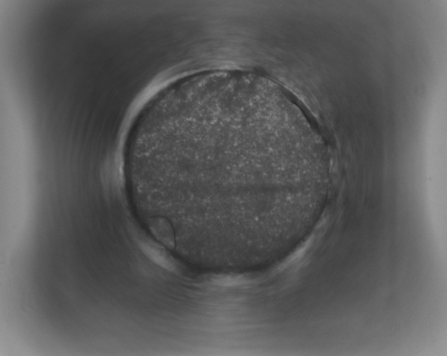 X0000111470246200908101120