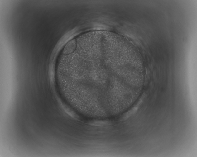 X0000111470247200908101120