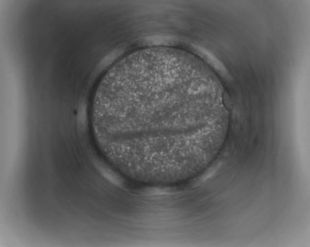 X0000111470250200908101120