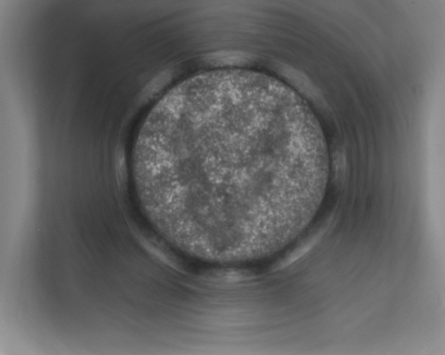 X0000111470254200908101120