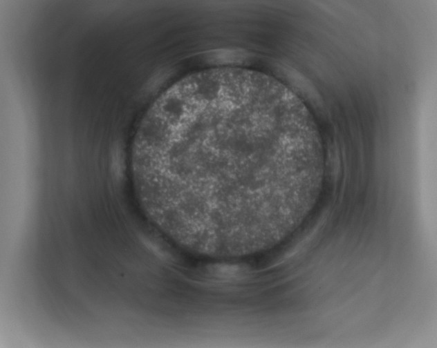 X0000111470255200908101120