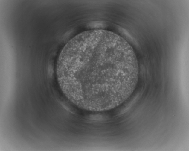 X0000111470259200908101120