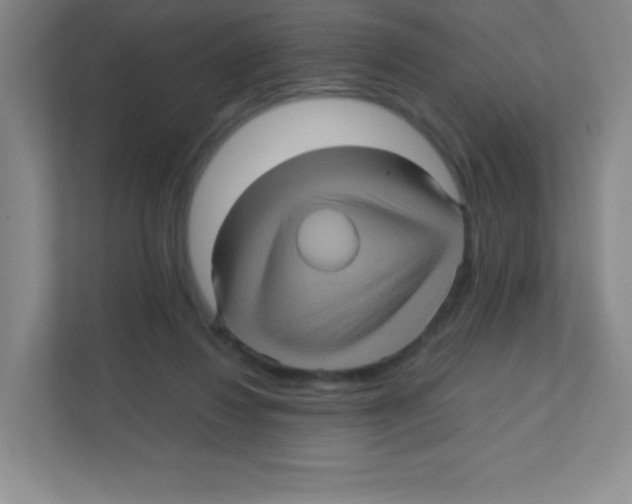 X0000111470260200908101120