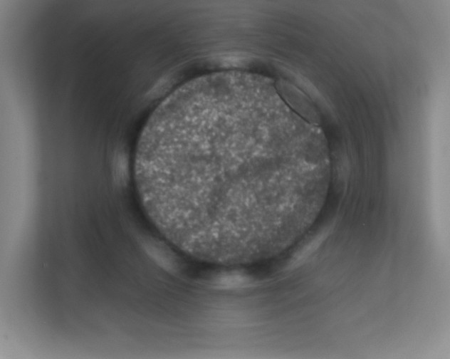 X0000111470262200908101120