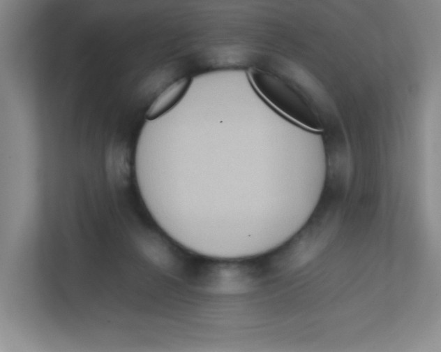 X0000111470264200908101120