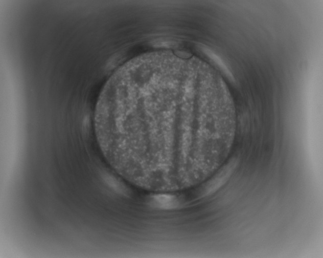 X0000111470265200908101120