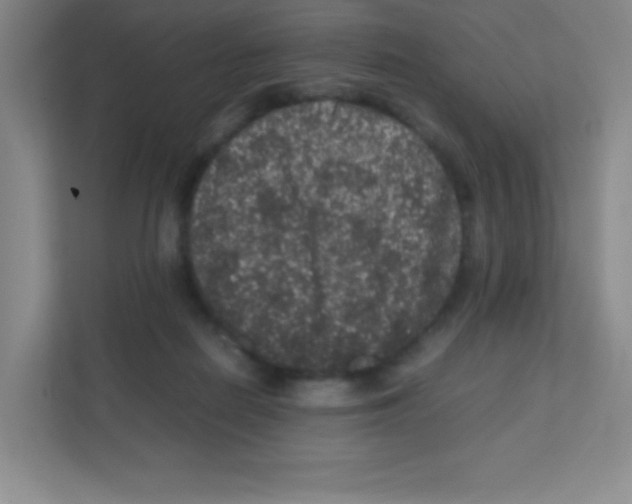 X0000111470266200908101120