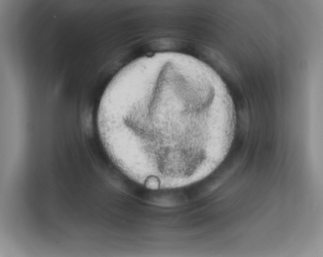 X0000111470267200908101120