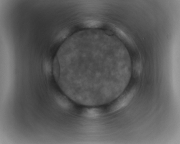 X0000111470268200908101120