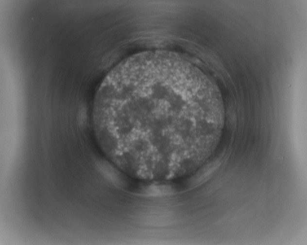 X0000111470270200908101120