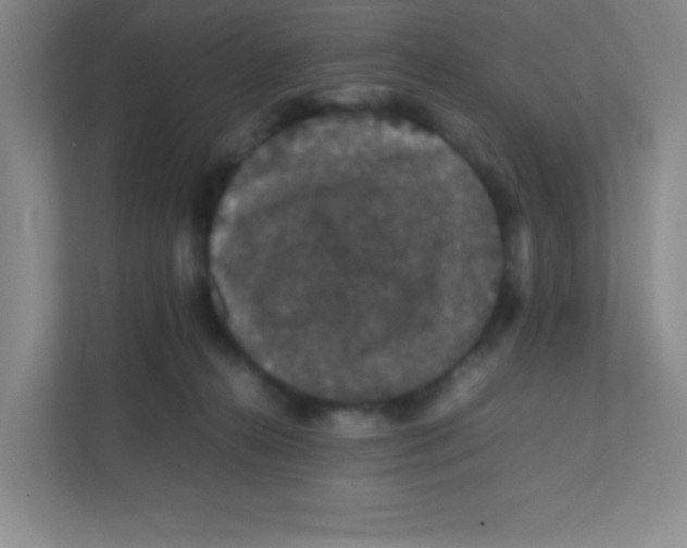 X0000111470272200908101120