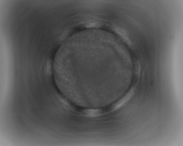 X0000111470273200908101121