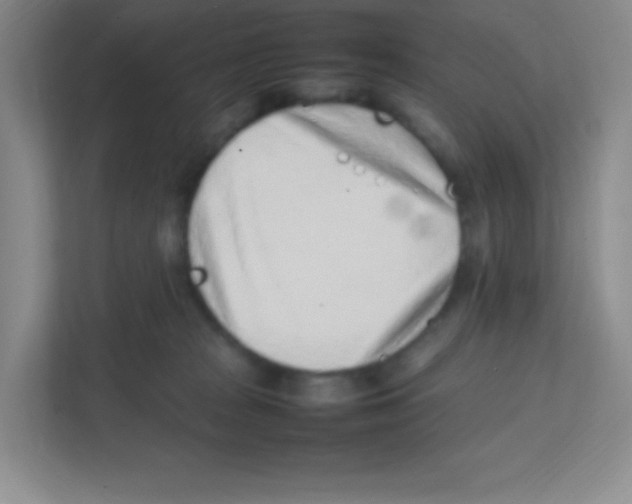 X0000111470277200908101121