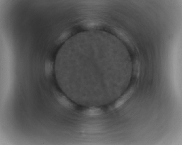 X0000111470278200908101121