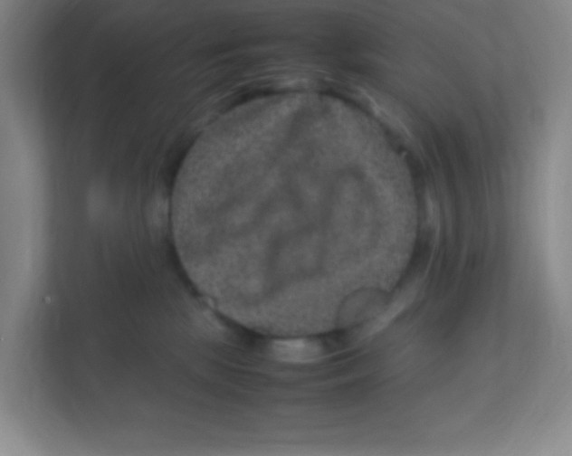 X0000111470281200908101121