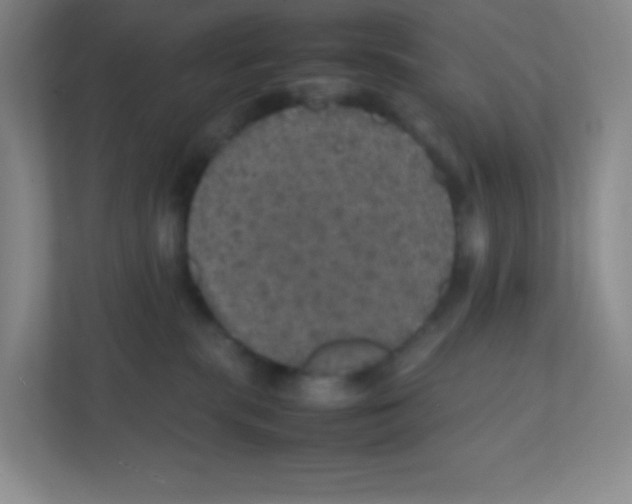 X0000111470283200908101121