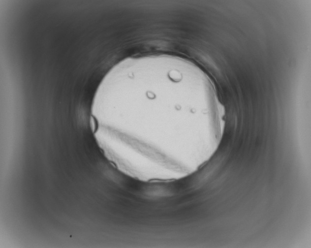 X0000111470285200908101121