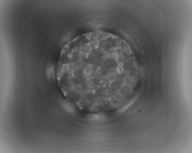 X0000111470286200908101121