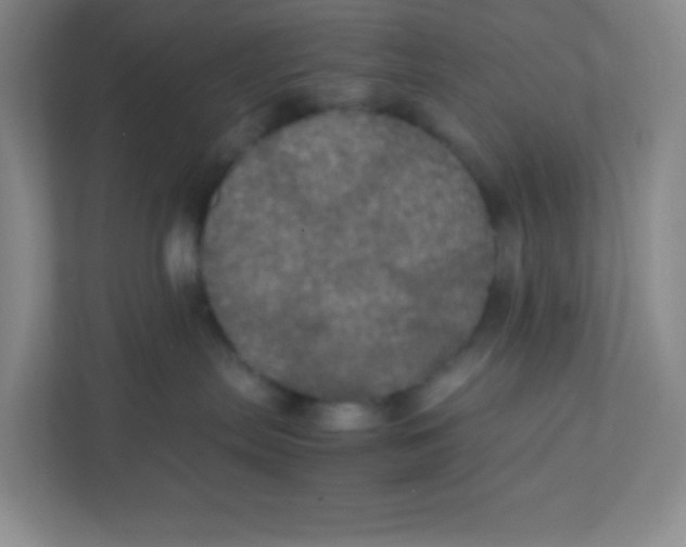 X0000111470287200908101121