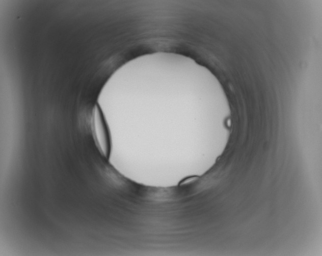 X0000111470288200908101121