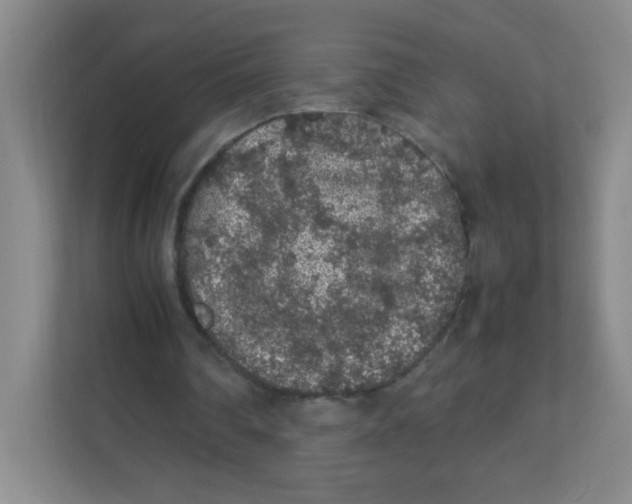 X0000111470290200908101120