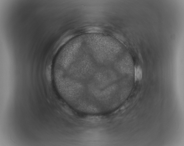 X0000111470291200908101120