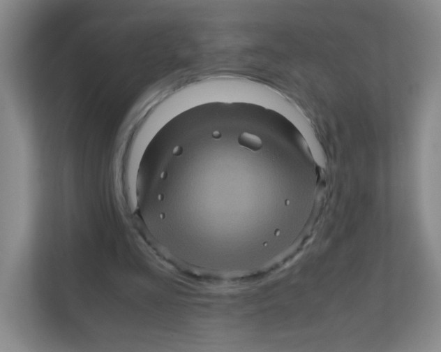 X0000111470293200908101120