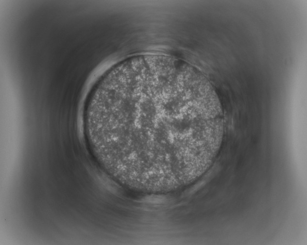 X0000111470294200908101120