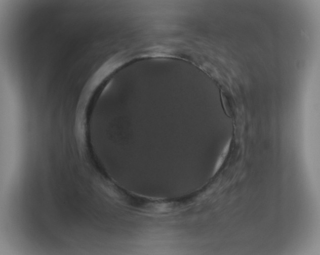 X0000111470295200908101120