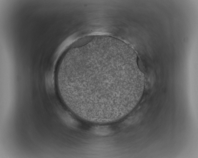 X0000111470296200908101120