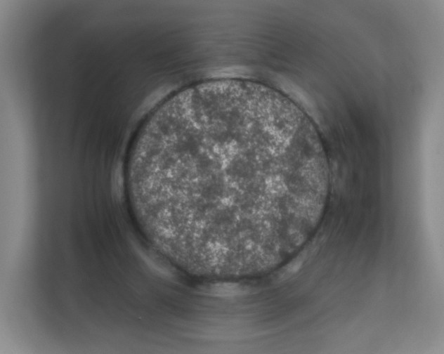 X0000111470298200908101120