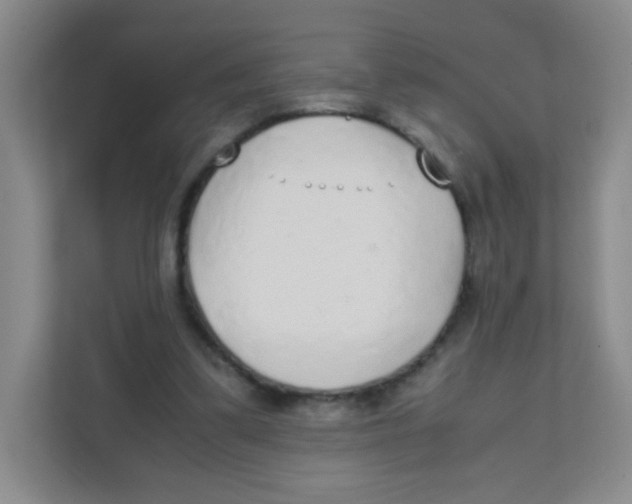 X0000111470299200908101120