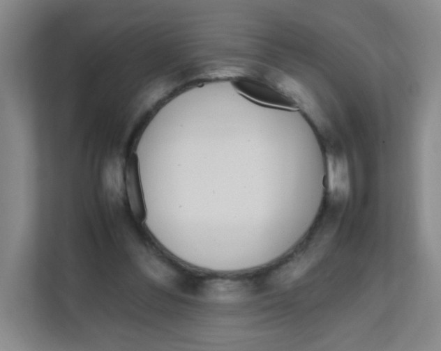 X0000111470300200908101120