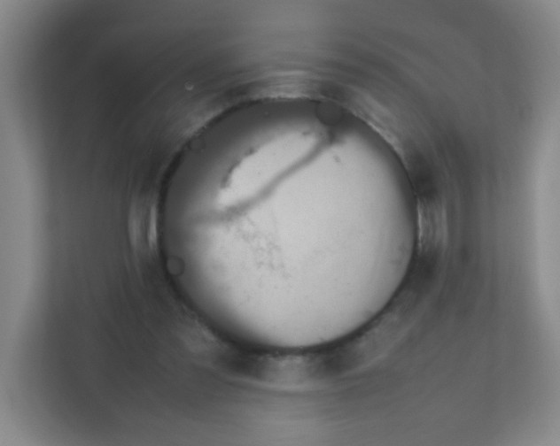 X0000111470301200908101120