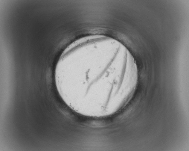 X0000111470303200908101120