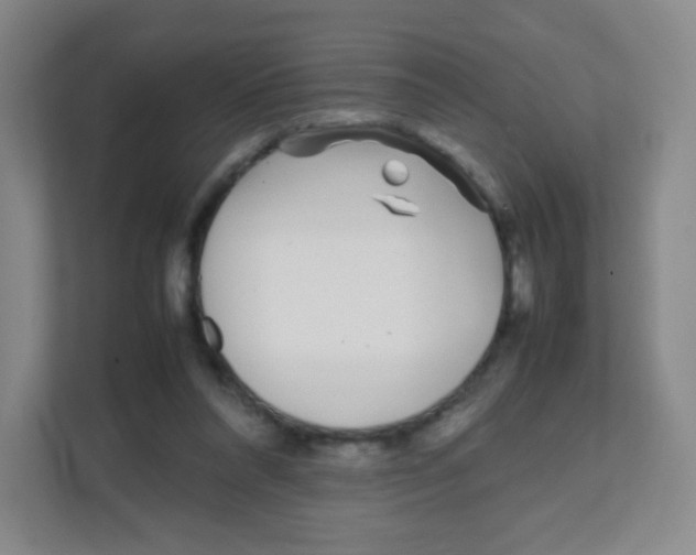 X0000111470304200908101120