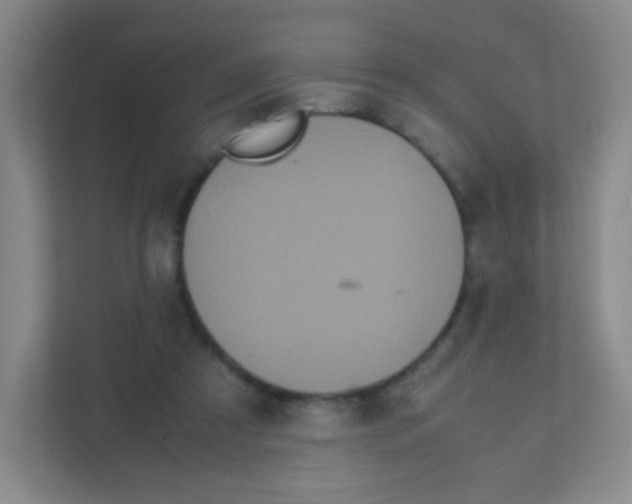 X0000111470305200908101120