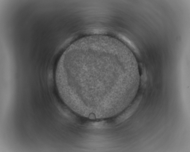 X0000111470306200908101120